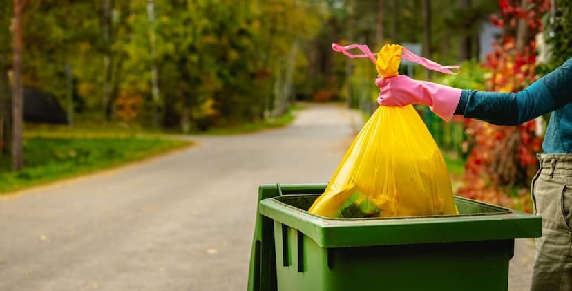 20 Yard Dumpster