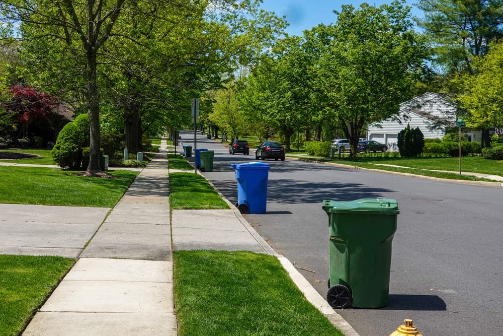 Residential Roll-Off Dumpster Rental